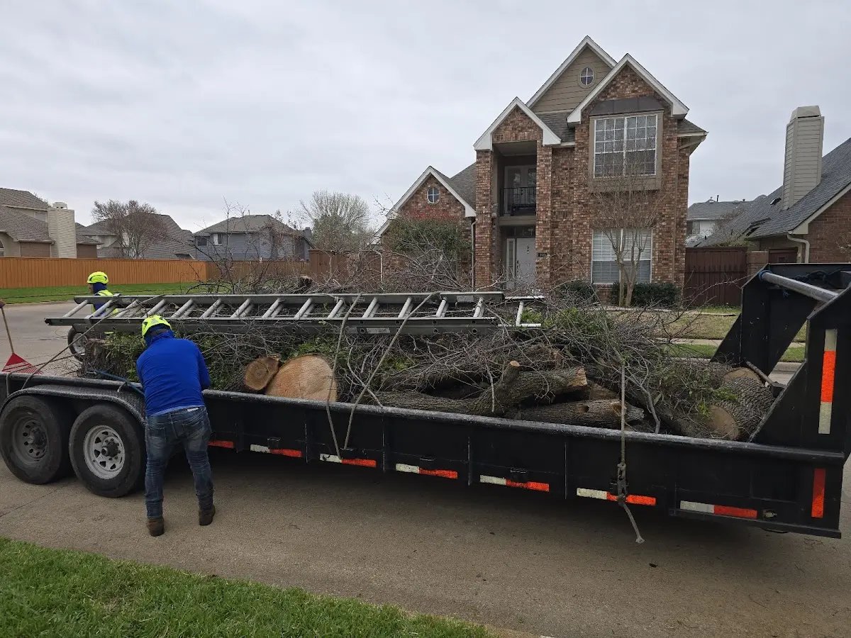 Expert Crown Reduction with proper safety equipment in Alpena
